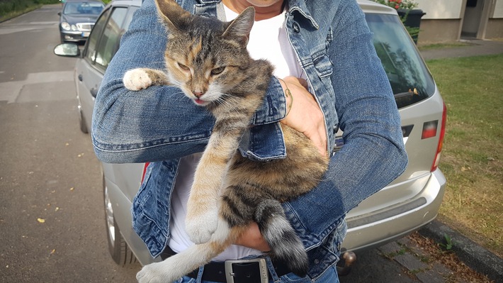 POL-BO: Stubentiger in Schwierigkeiten: Kripo-Beamtin rettet Katze