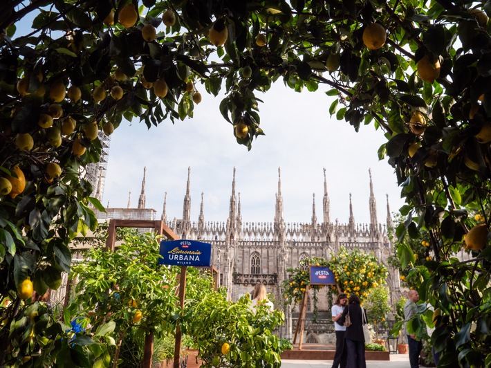 Pesto Barilla_Basilico e Limone_Limonaia Urbana Event_00.jpg