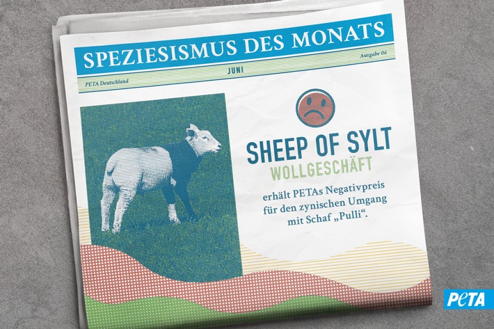 Leid im Schafspelz: &quot;Sheep of Sylt&quot; wirbt mit Lamm namens &quot;Pulli&quot;- und erhält dafür PETAs Negativpreis &quot;Speziesismus des Monats&quot;