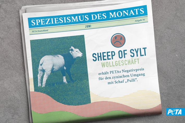 Leid im Schafspelz: "Sheep of Sylt" wirbt mit Lamm namens "Pulli"- und erhält dafür PETAs Negativpreis "Speziesismus des Monats"