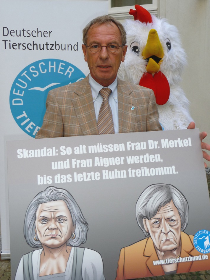 Bundesregierung will Hühnerkäfige noch bis 2035 - Kritik am Tierschutzpaket der Bundesministerin Ilse Aigner (mit Bild)