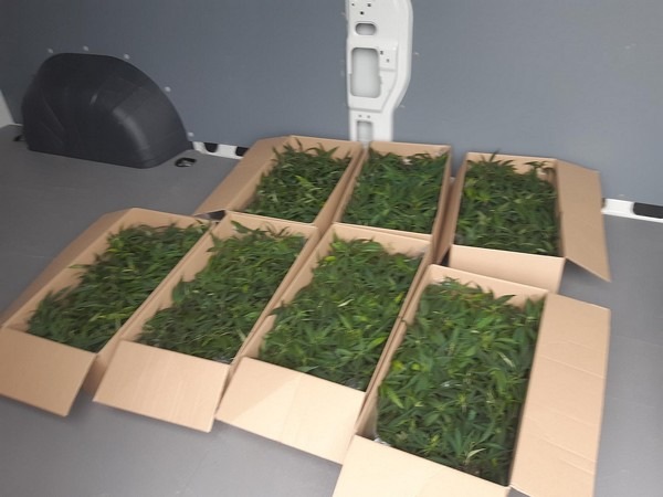 BPOL NRW: 588 Marihuanapflanzen von Bundespolizei beschlagnahmt - 2 Drogenschmuggler festgenommen