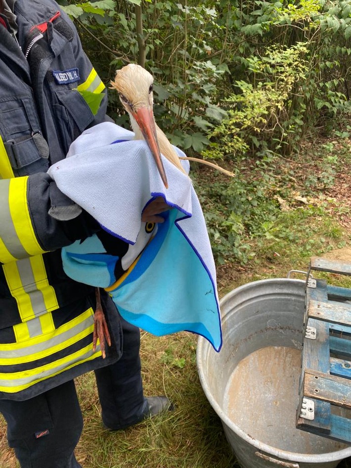 FW-Schermbeck: Feuerwehr rettet hilflosen Storch aus Birke