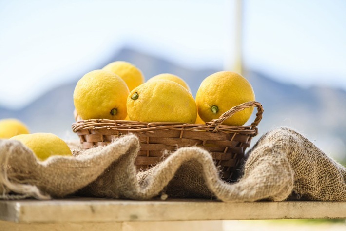 Ein Korb mit Zitronen, Lemon from Spain / Weiterer Text über ots und www.presseportal.de/nr/152034 / Die Verwendung dieses Bildes für redaktionelle Zwecke ist unter Beachtung aller mitgeteilten Nutzungsbedingungen zulässig und dann auch honorarfrei. Veröffentlichung ausschließlich mit Bildrechte-Hinweis.