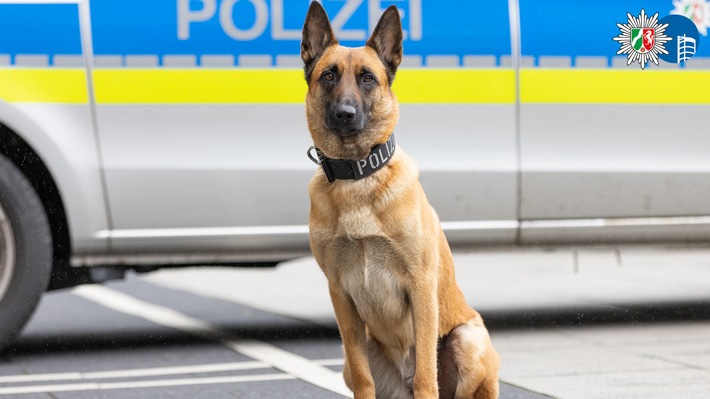 POL-OB: Schlägerei im Königshütter Park - Polizeipräsenz verhindert Schlimmeres