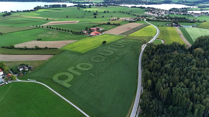 Das pro-aurum-Logo wächst auf knapp acht Hektar oberhalb des Waginger Sees. / Weiterer Text über ots und www.presseportal.de/nr/77386 / Die Verwendung dieses Bildes für redaktionelle Zwecke ist unter Beachtung aller mitgeteilten Nutzungsbedingungen zulässig und dann auch honorarfrei. Veröffentlichung ausschließlich mit Bildrechte-Hinweis.