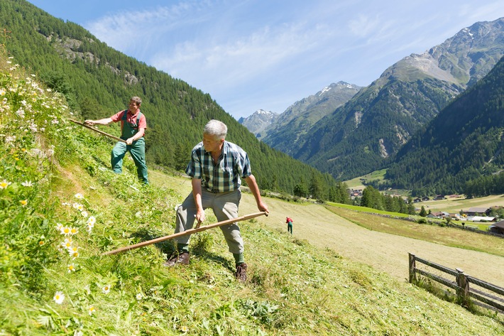 Mithelfen am Bergbauernhof