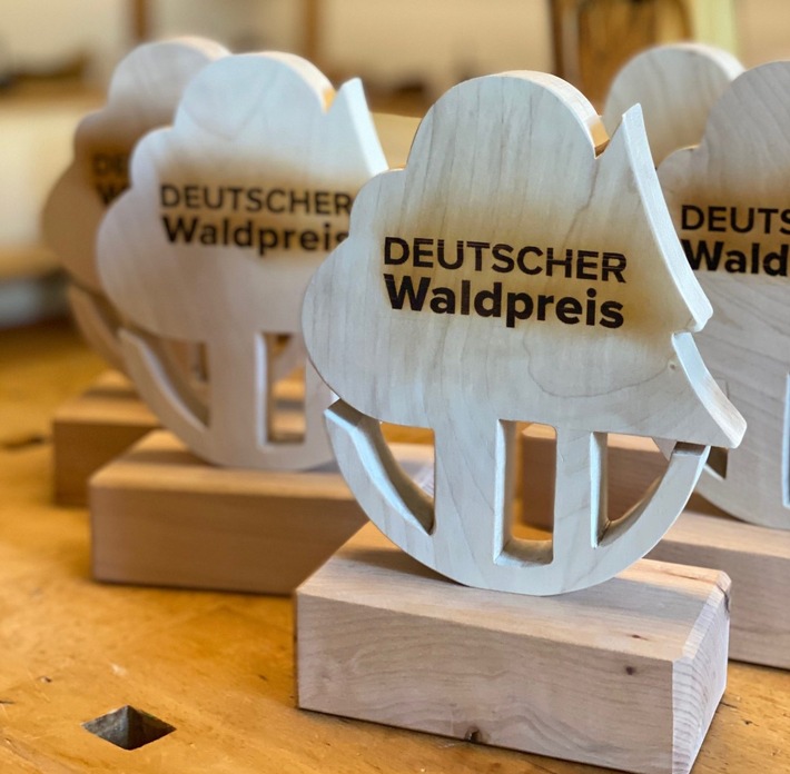 Gewinner des DEUTSCHEN Waldpreises 2021 aus Bayern, Sachsen und Baden-Württemberg