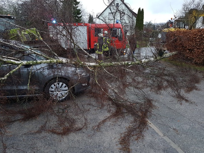 FW Lügde: Technische Hilfe / Baum auf PKW