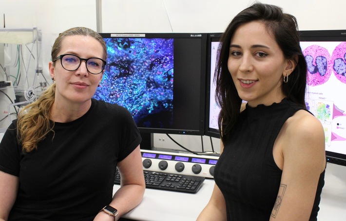 Krebstherapie: Neutrophile mehr als nur Ersthelfer