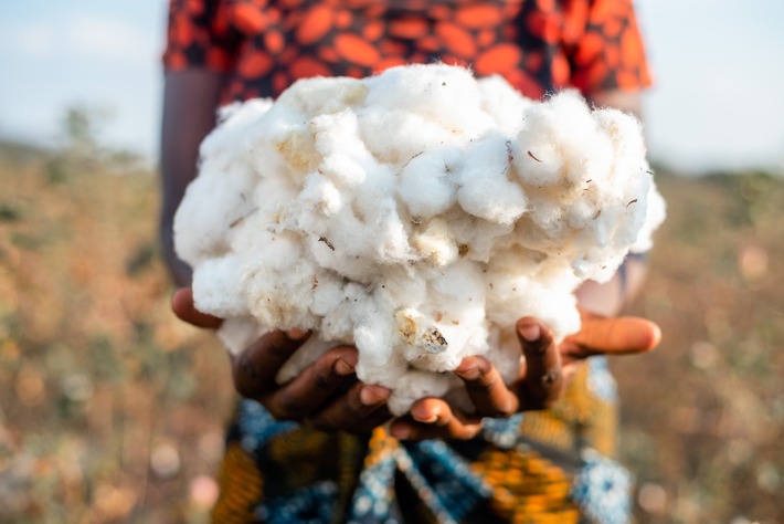 New Study Shows Low Environmental Impact by Cotton made in Africa Organic Cotton from Tanzania
