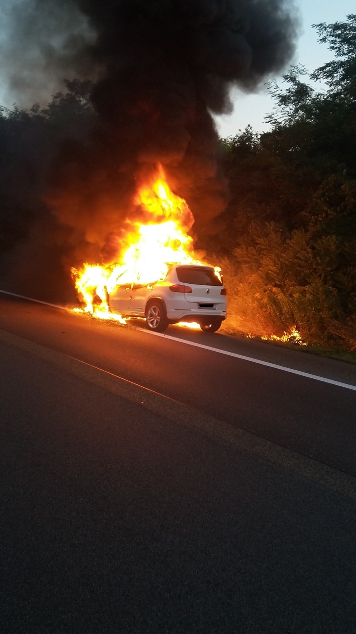 POL-PDLD: Edesheim - Pkw-Brand auf der BAB 65