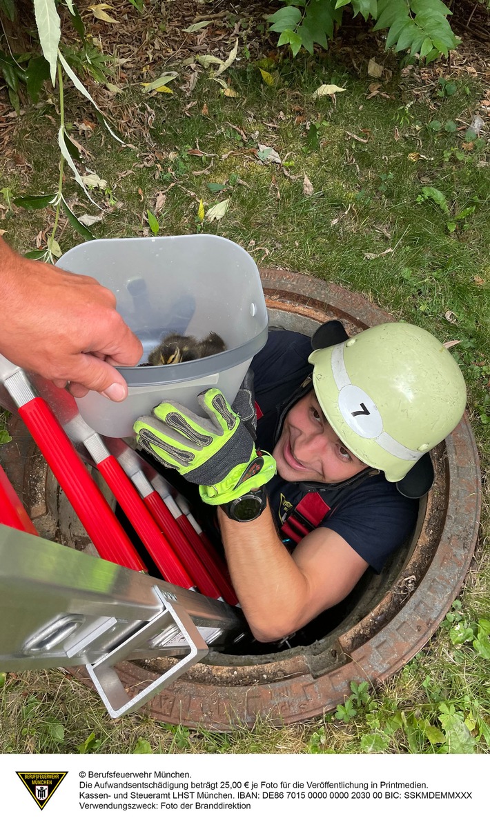 FW-M: Entenküken in Schacht eingesperrt (Milbertshofen)