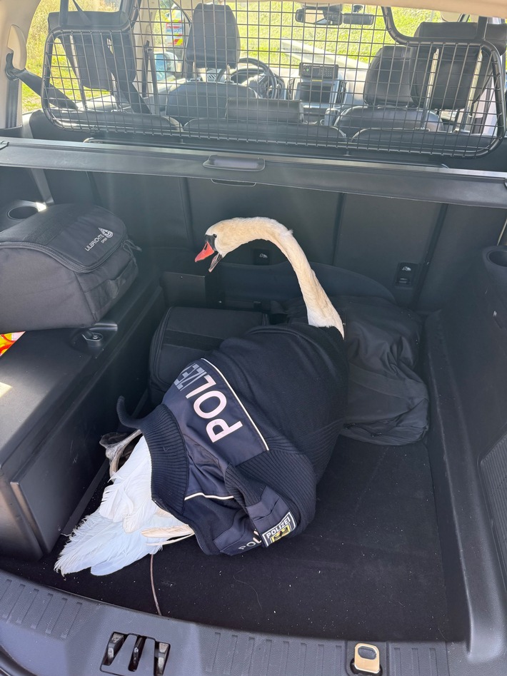BPOL-KL: Bundespolizei rettet Schwan