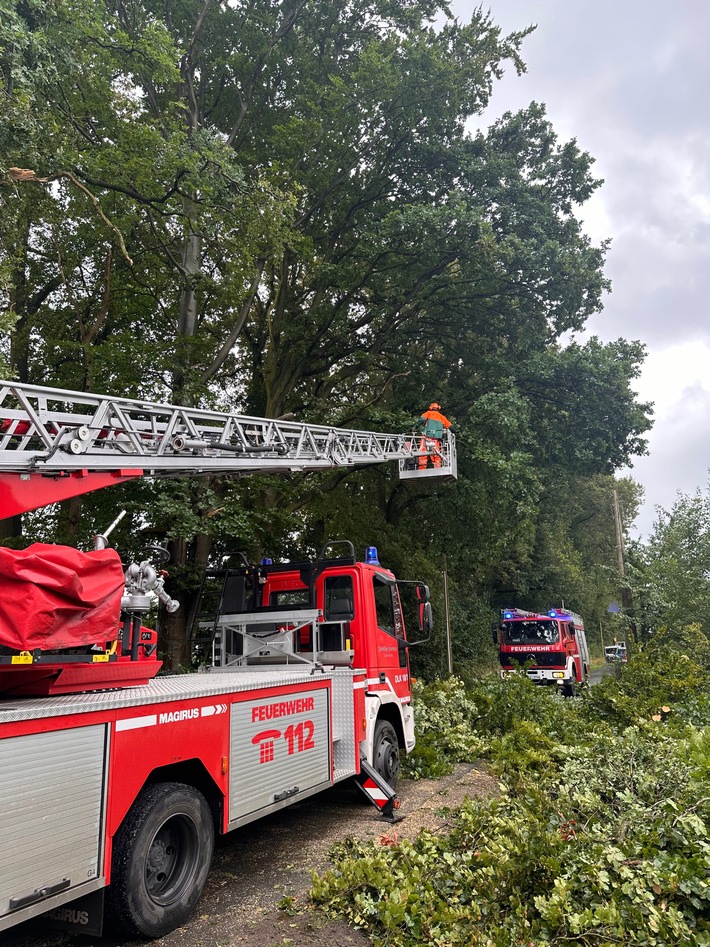 FW-Schermbeck: Baum auf Fahrbahn