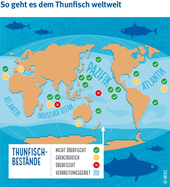 Am 2. Mai ist Weltthunfischtag - und es gibt endlich gute Nachrichten!