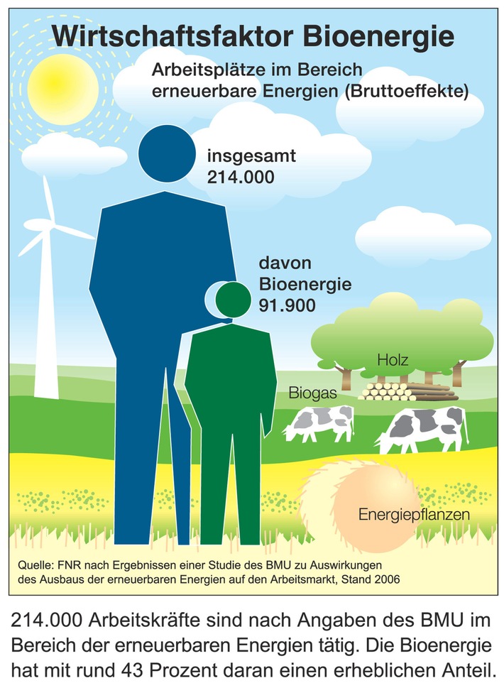 Wirtschaftsfaktor Bioenergie