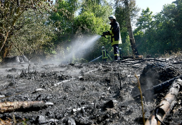 FW-RD: 400 Einsatzkräfte bekämpfen Waldbrand bei Mielkendorf