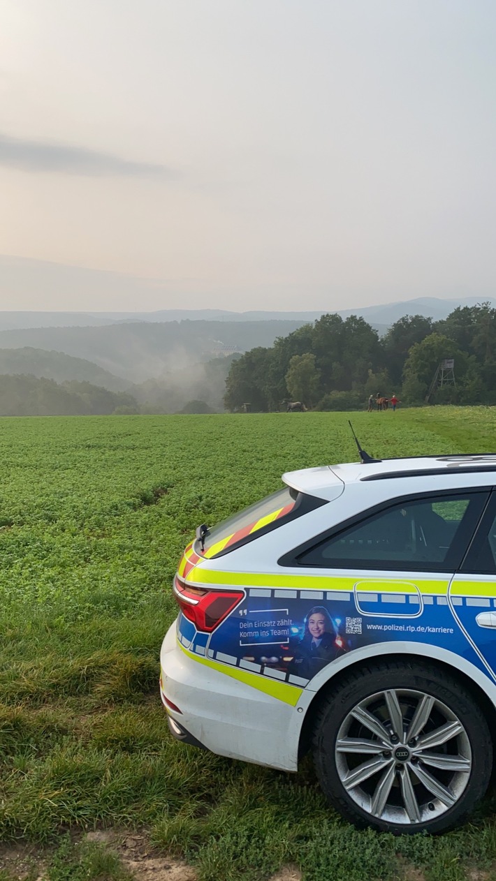 POL-PDNW: Grünstadt - Pkw unter Betäubungsmitteleinfluss geführt