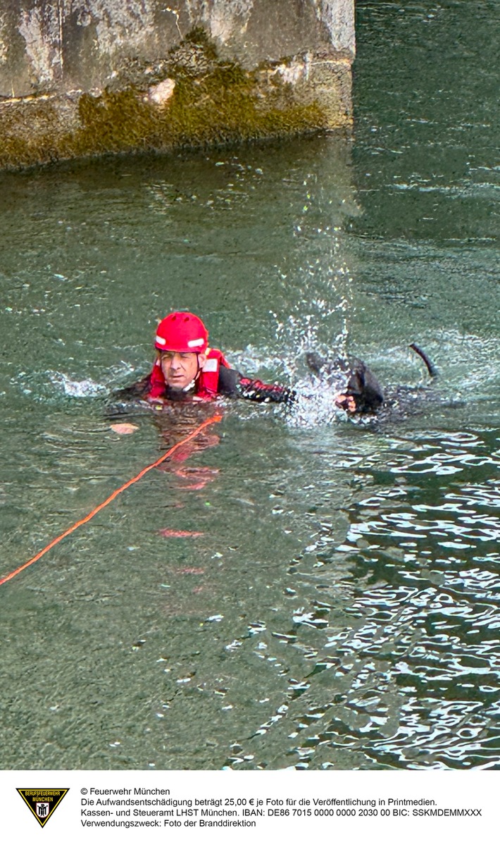 FW-M: Vier Pfoten auf Abwegen - Feuerwehr rettet Hund aus Isar (Oberföhring)
