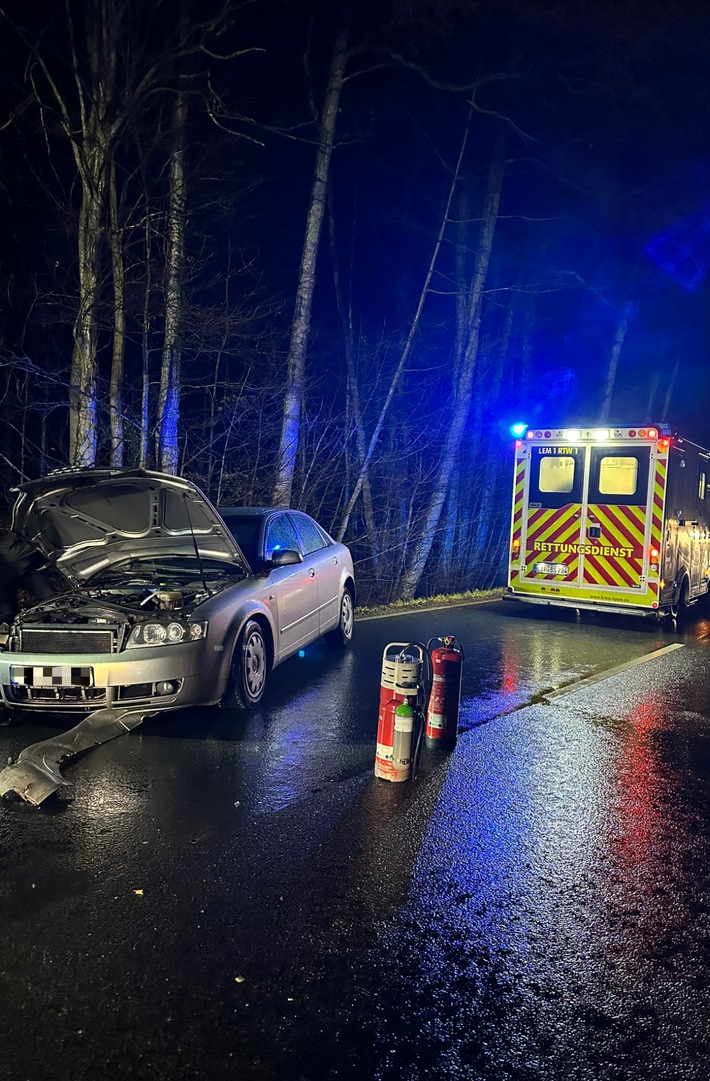 FW-DT: Alleinunfall - Zwei Verletzte