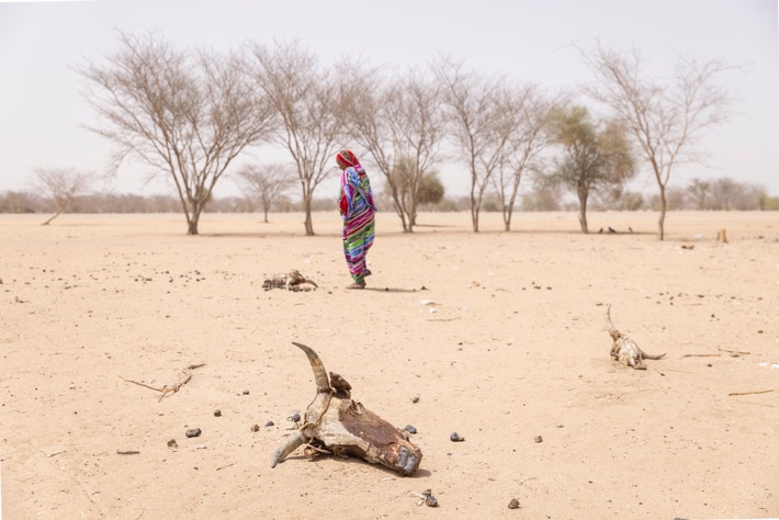 Conférence mondiale sur le climat à Bakou / Caritas demande un financement équitable pour le climat