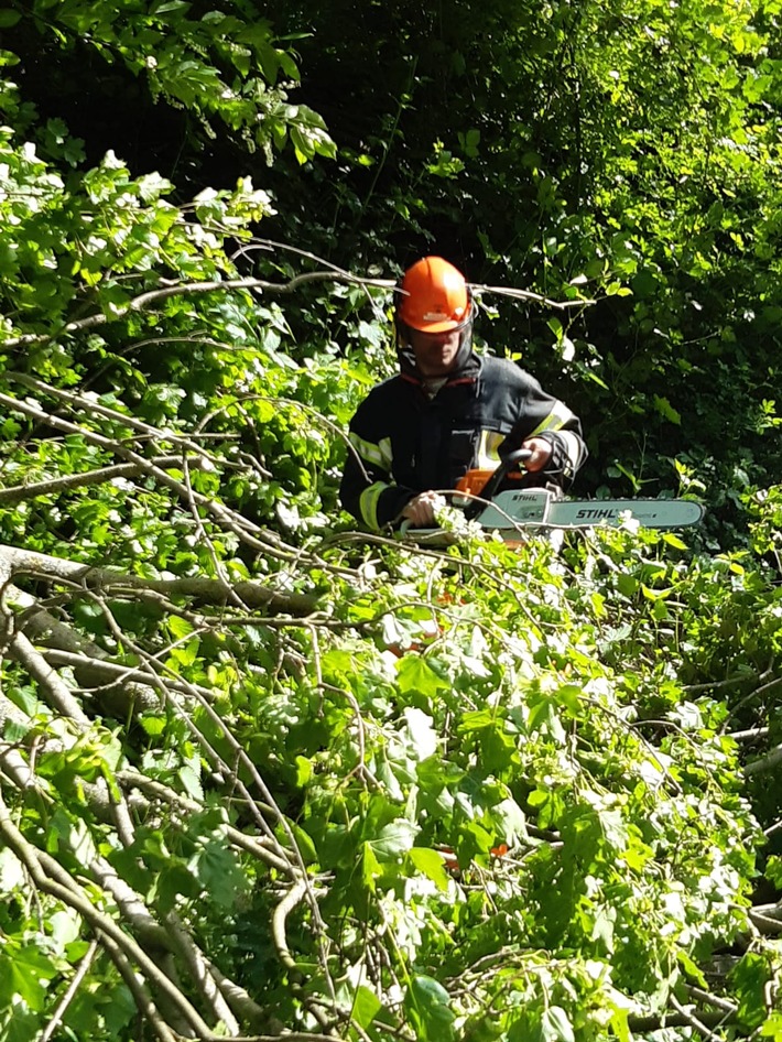 FW-Schermbeck: Baum auf Fahrbahn (Dorstener Straße/ B 58)