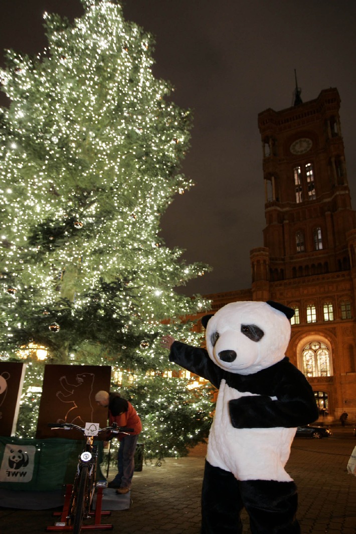 Weihnachtlicher LichtBlick mit 24.000 Lichtern vor dem Roten Rathaus in Berlin / Umweltorganisation WWF und Ökostromanbieter LichtBlick errichten den ökologischsten Weihnachtsbaum Deutschlands