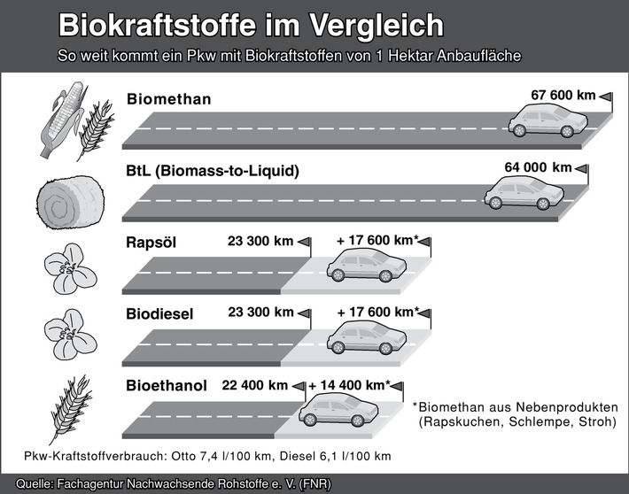 Biokraftstoffe im Vergleich