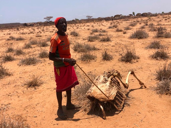 Kenia: Mehr als zwei Millionen Menschen von Dürre betroffen / Malteser und Johanniter helfen Bevölkerung in ländlichen Regionen
