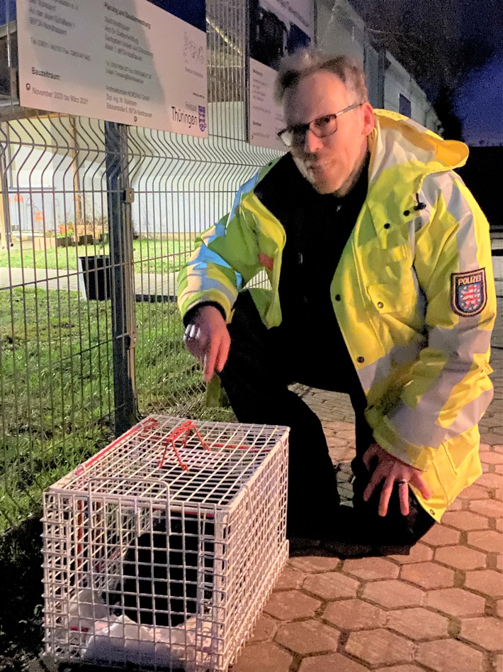 API-TH: Autobahnpolizisten retten Katze mit Mortadella von Parkplatz der BAB 38