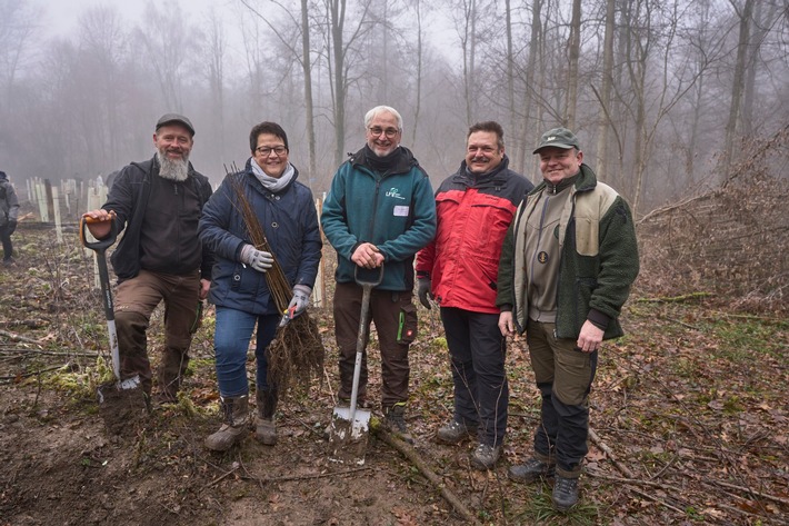 Presse-Information: Bodersweierer Wald wird für Zukunft gerüstet