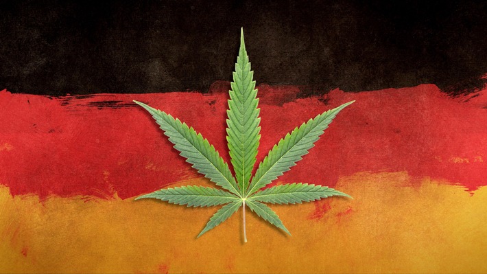 "Cannabis made in Germany" – 3sat-Magazin "makro" über "Geschäfte mit der Droge"