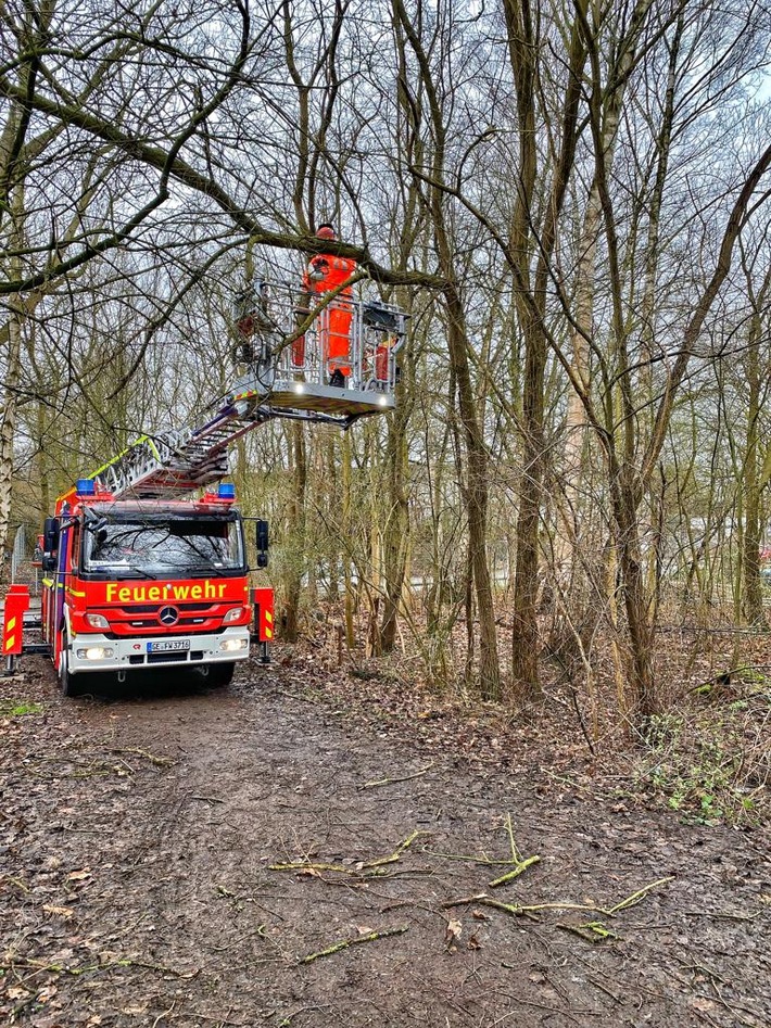 FW-GE: Bilanz Sturmtief Zeynep / Arbeitsreiche Nacht für die Kräfte der Feuerwehr Gelsenkirchen - rund 140 sturmbedingte Einsätze bis Samstagmittag