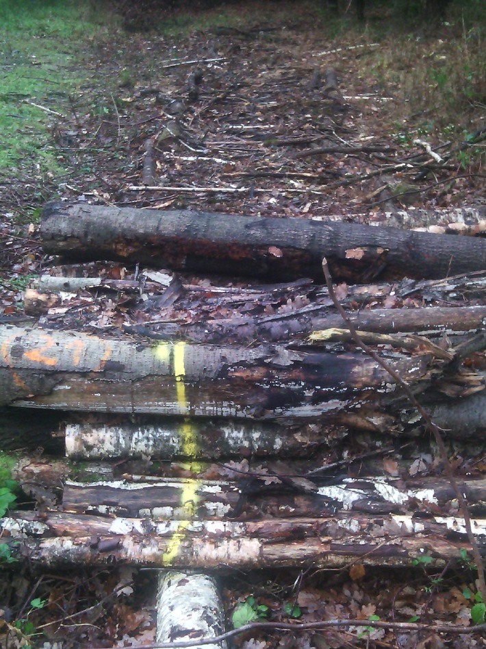 POL-CUX: Brennholzdiebe im Forst unterwegs