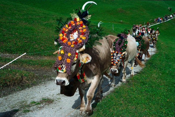 Hintertuxer Oktoberfest: Der schönste Almabtrieb in Tirol - BILD