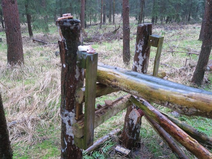 POL-DEL: Landkreis Oldenburg: Jagdwilderei in Ahlhorn +++ Mann auf frischer Tat ertappt