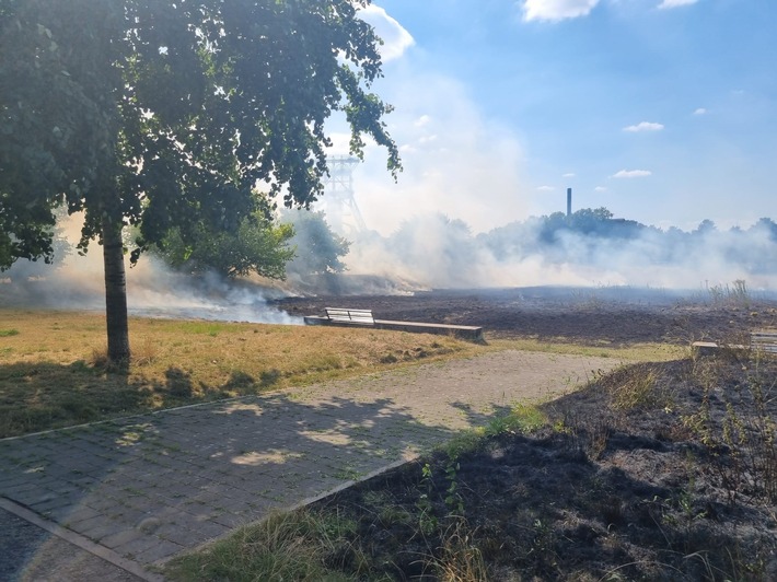 FW-GE: Ausgedehnter Flächenbrand in Bismarck