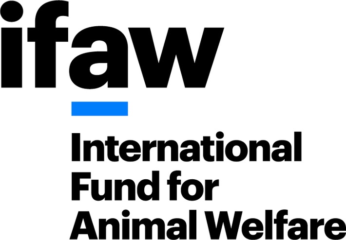 IFAW präsentiert sich zum 50jährigen Bestehen mit neuem Corporate Design