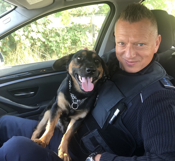 BPOL-BadBentheim: Bundespolizei bringt Hund und Besitzer wieder zusammen