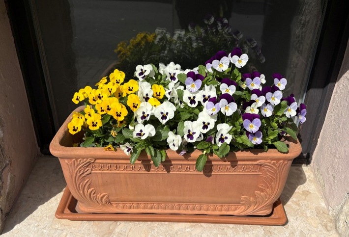 LPI-NDH: Zeugenaufruf: Blumenkasten entwendet - Wer kann Hinweise geben?