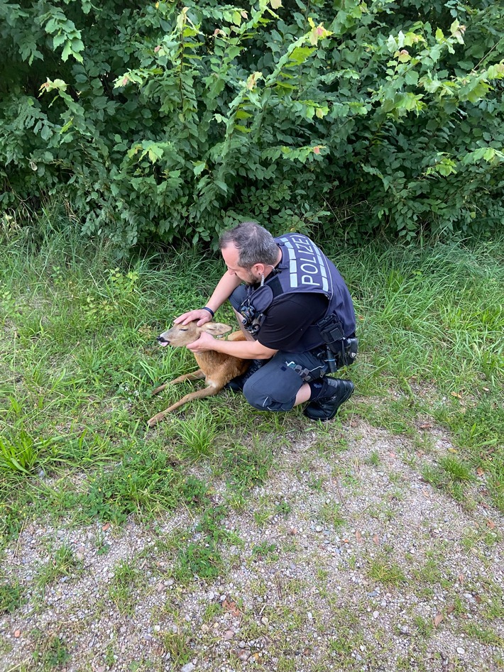 POL-OG: Rheinau, Memprechtshofen - Zwei Mal gerettet