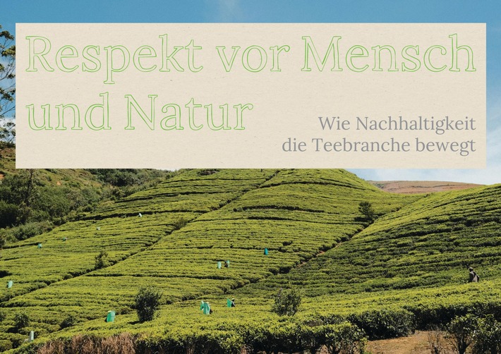 Respekt vor Mensch und Natur - Deutscher Tee & Kräutertee Verband veröffentlicht Umfrageergebnisse und Praxisbeispiele zum Nachhaltigkeitsmanagement der Branche