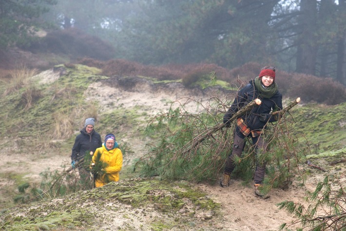 Für die Artenvielfalt: Fast 20 freiwillige Frauen mit dem Bergwaldprojekt im Einsatz auf Amrum