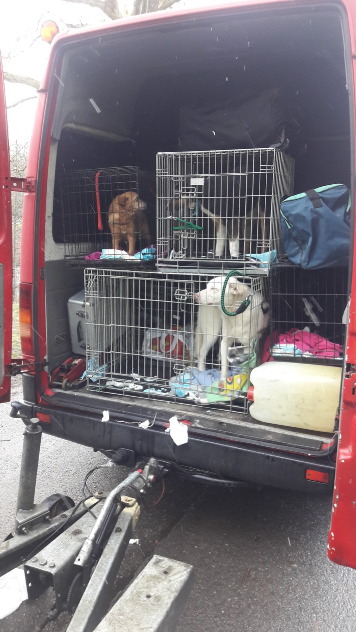 POL-KA: Nachtrag zur Meldung vom 21.01.2019, 15:57 Uhr &quot;Vier Hunde aus Kleinbus befreit&quot;