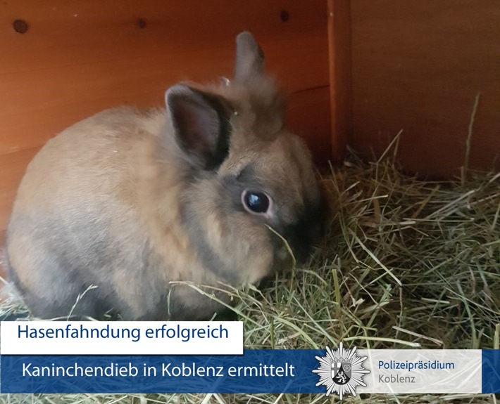 POL-PPKO: "Hasenfahndung" erfolgreich abgeschlossen
