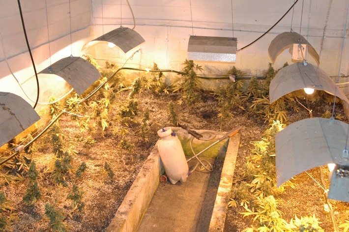 POL-H: Polizei beschlagnahmt Indoorplantage