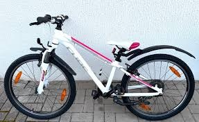 POL-PDTR: Kinderfahrrad aus Vorgarten entwendet