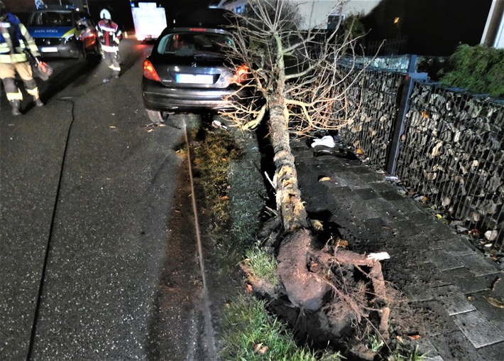 POL-HRO: Alkoholisierte Fahrerin prallt mit Pkw gegen Baum
