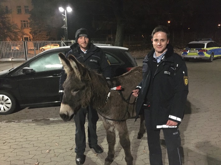 POL-AA: Ostalbkreis: Störrischer Esel hält Polizei auf Trab
